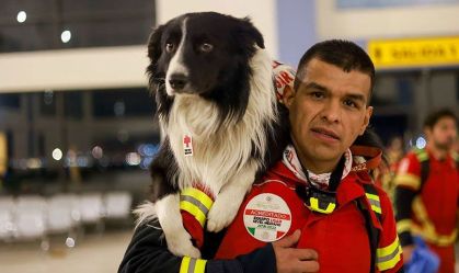 México envia cães para ajudar no resgate a vítimas de terremoto; veja