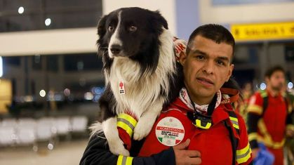 Cão enviado pelo México para auxiliar no resgate a vítimas de terremoto na Turquia e na Síria