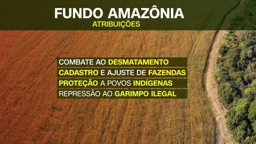 Atribuições do Fundo Amazônia / Arte CNN