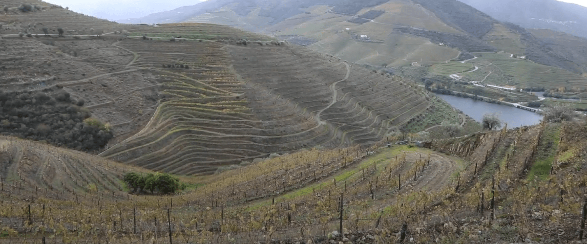 Vista da vinícola Menin Douro Estates / Reprodução