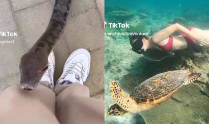 Dumb Ways To Die - Trend do TikTok