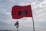 Frente Nacional de Luta faz ocupações rurais e urbanas em mais de dez cidades