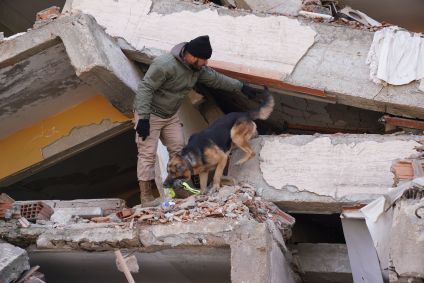 Cão de resgate auxilia no trabalho de busca por sobreviventes do terremoto