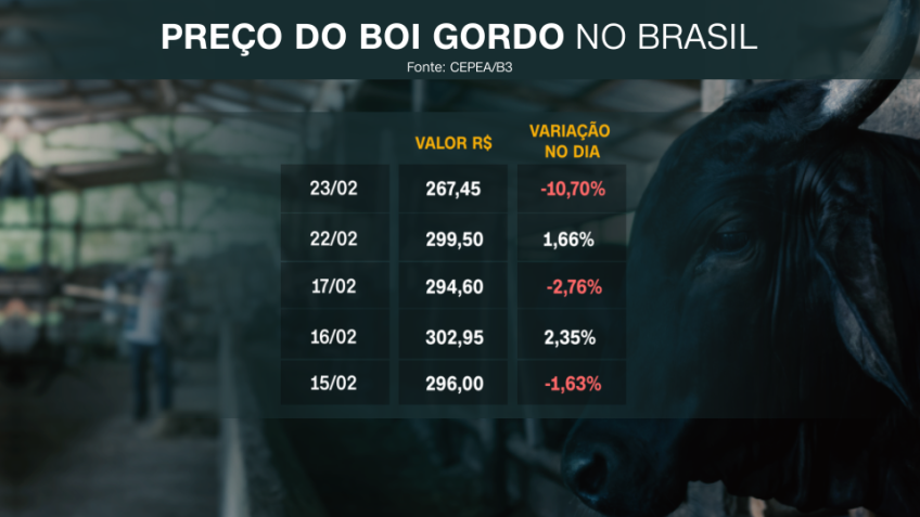 Preços do boi gordo / CNN
