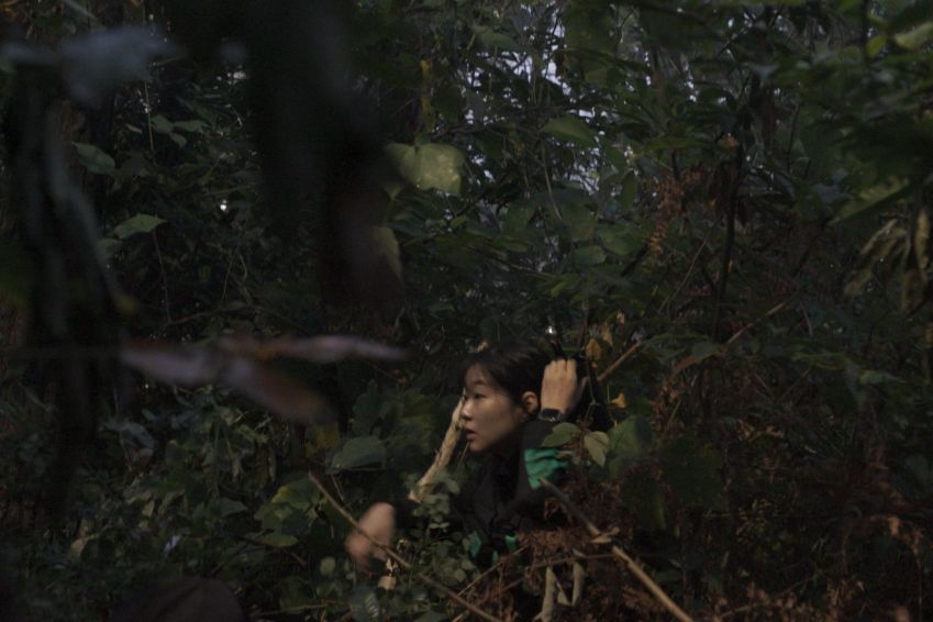 Siren: Survive the Island / Netflix