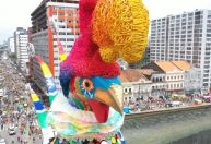 Com COP30 no Brasil, Galo da Madrugada tem sustentabilidade como tema