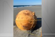 O que se sabe até agora sobre a esfera misteriosa que apareceu em praia no Japão