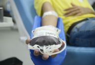 CCJ do Senado aprova PEC que autoriza comercialização do plasma humano