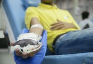 SP investiga 3 casos de infecção por dengue em transfusão de sangue