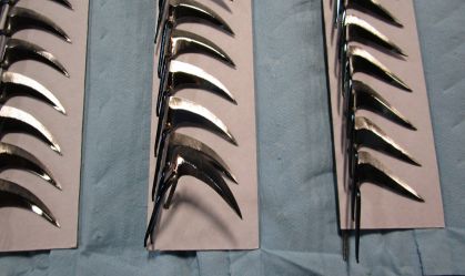 Autoridades confiscam 120 esporas de rinha de galos enviadas para Illinois, nos EUA