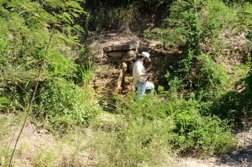 Pesquisador Gabriel Osés busca amostras de Corumbella durante trabalho de campo em Corumbá / Bruno Becker Kerber