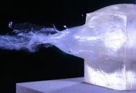 Especialistas desenvolvem gelatina que simula corpo humano em testes balísticos