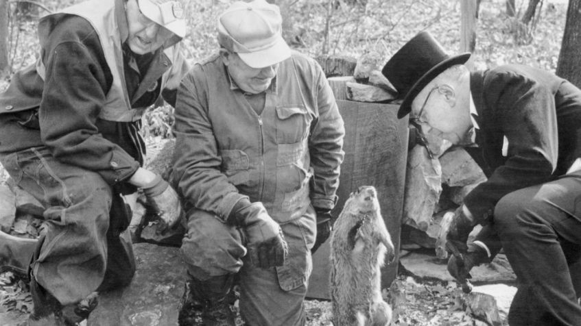 Em 1973, Punxsutawney Phil encantou os espectadores com sua fofura e os decepcionou ao prever mais seis semanas de inverno / CNNi