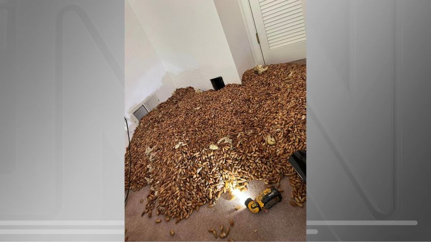 / Reprodução/ Facebook