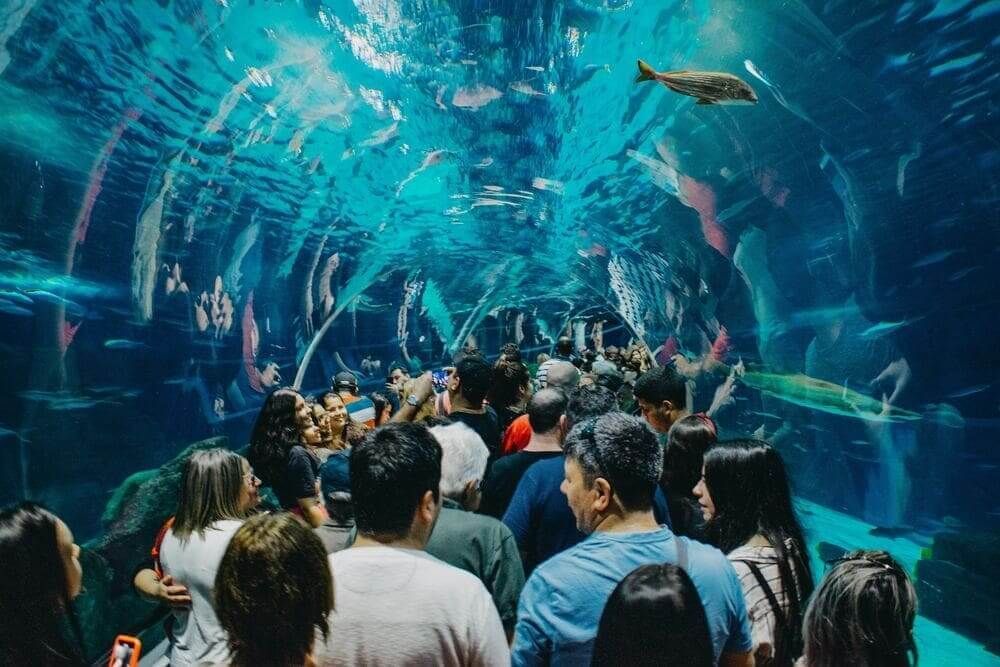 O que fazer no Rio de Janeiro? / Imagem: Unsplash/Gabriel Santos
