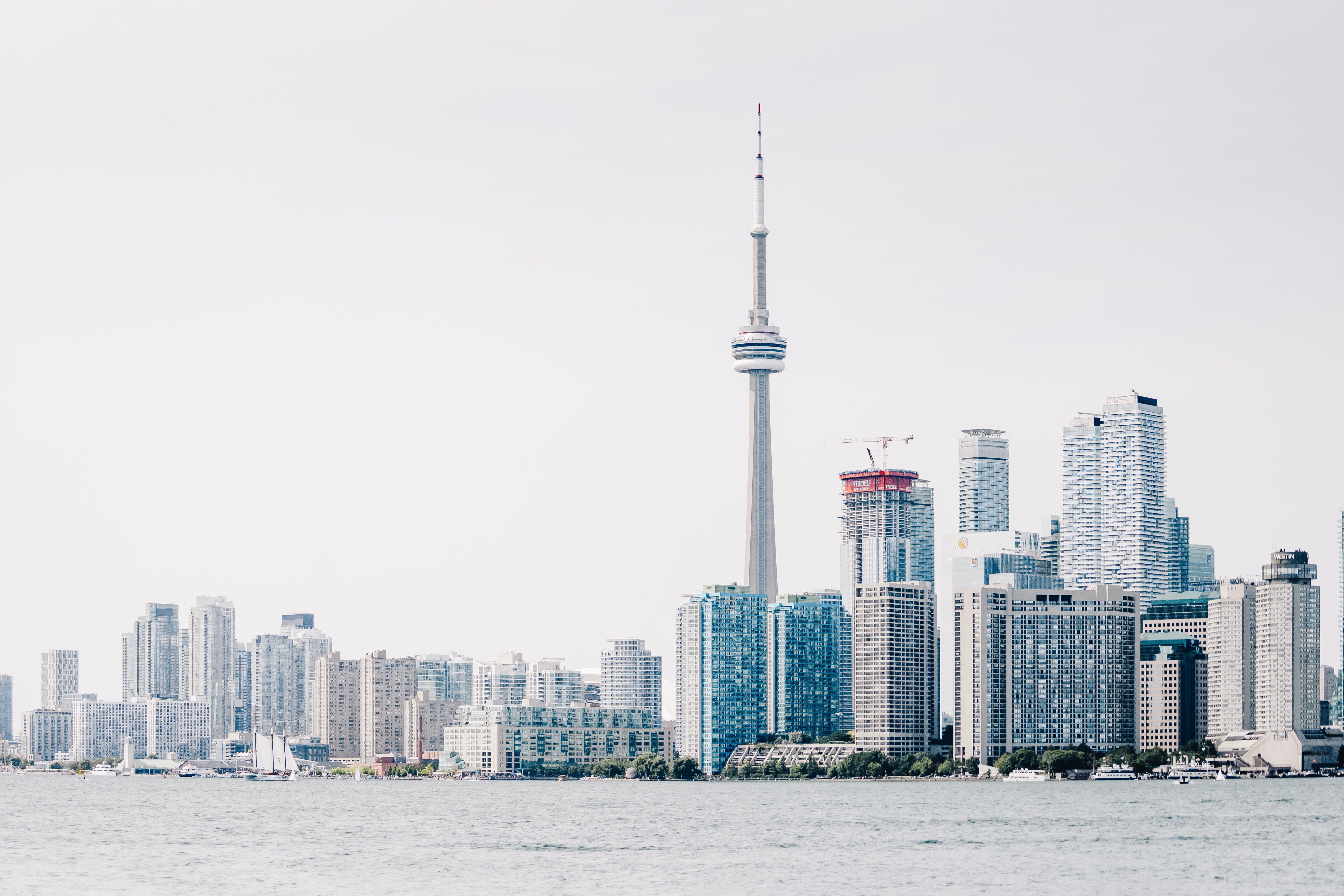 scott-webb-VL-OvBppmzI-unsplash