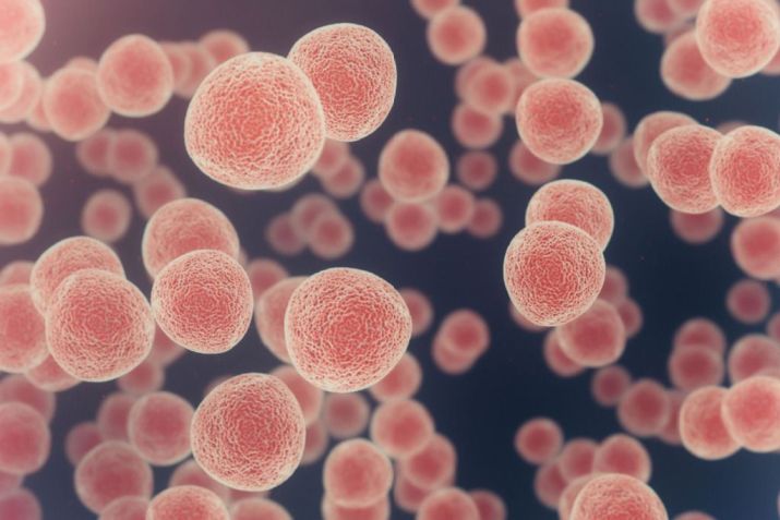 Sintomas do HTLV / Imagem: Shutterstock