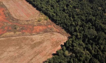 Sede da Cúpula da Amazônia, Brasil segue como campeão de desmatamento