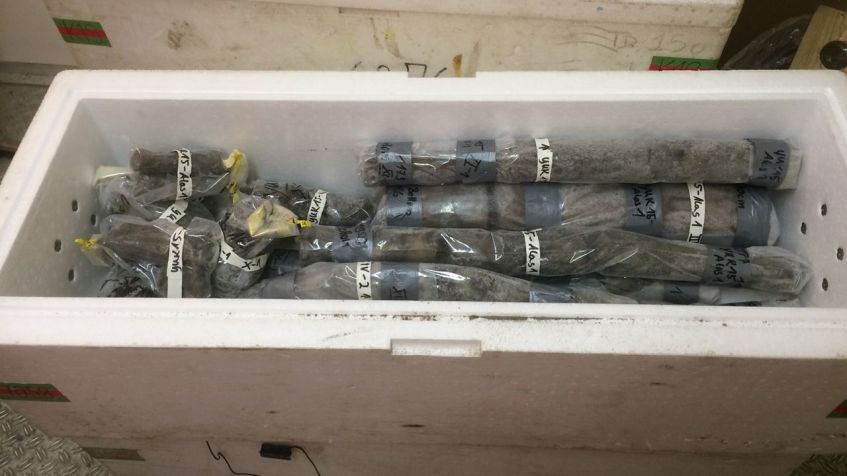 Núcleos de amostras de permafrost são retratados em um contêiner. / Jean-Michel Claverie/IGS/CNRS-AM