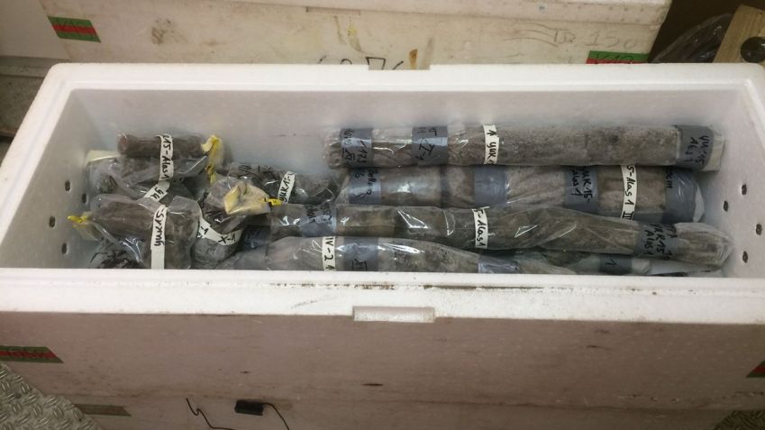 Núcleos de amostras de permafrost são retratados em um contêiner. / Jean-Michel Claverie/IGS/CNRS-AM