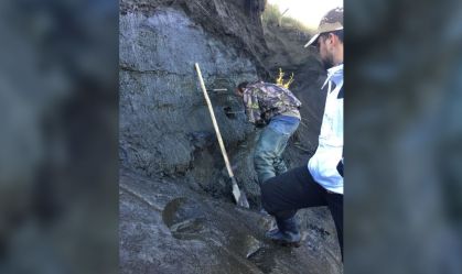 Cientistas revivem vírus "zumbi" que passou 48.500 anos congelado no permafrost