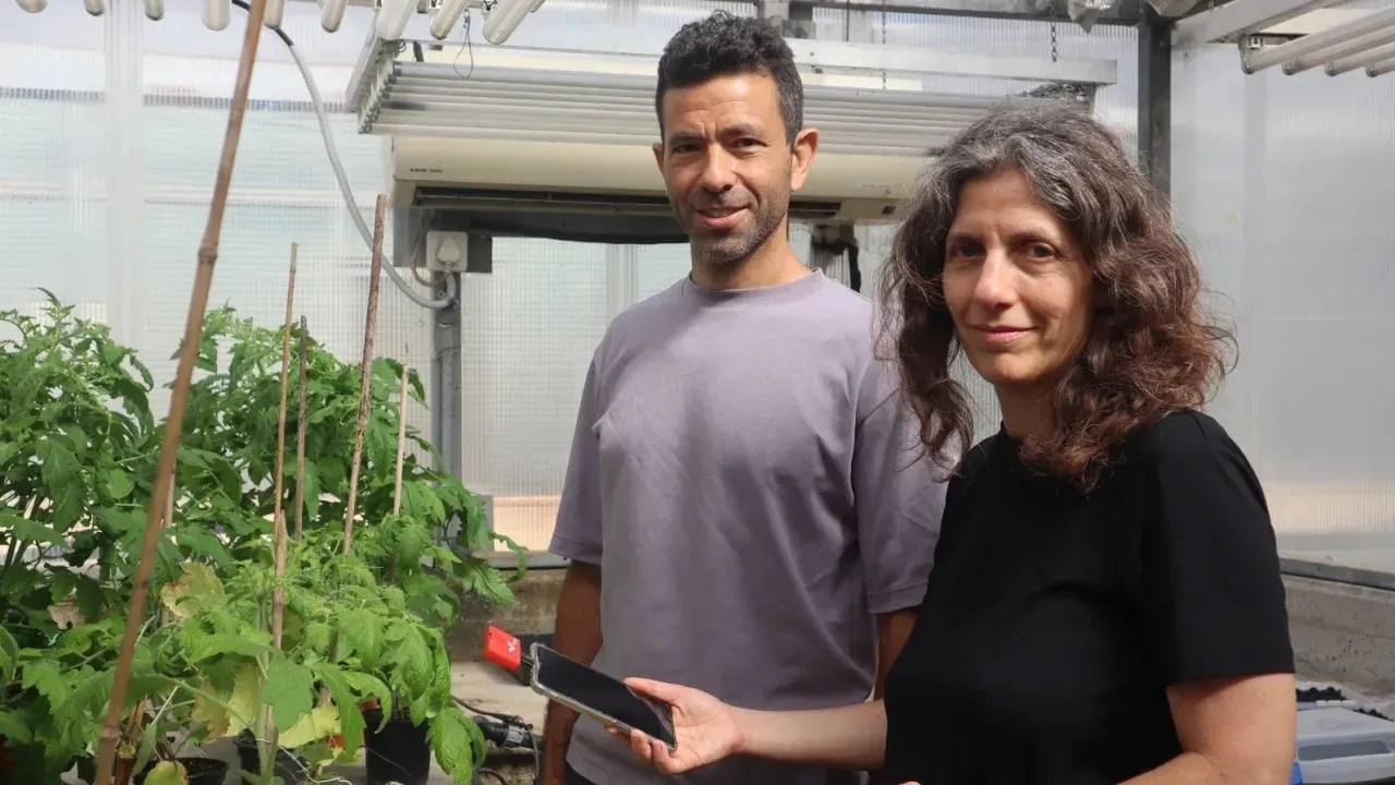 Os principais autores do estudo foram Yossi Yovel, à esquerda, e Lilach Hadany. Ambos são professores da Universidade de Tel Aviv / Divulgação/Tel Aviv University