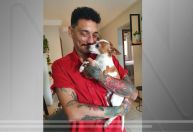 Cão busca ajuda em creche para pets após se perder de tutor no ES; veja vídeo