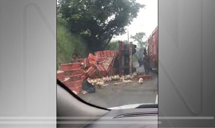 Galinhas se espalham na pista após tombamento de caminhão no Rio de Janeiro