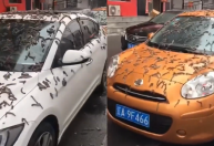 Suposta “chuva de minhocas” em cidade chinesa viraliza; entenda o fenômeno