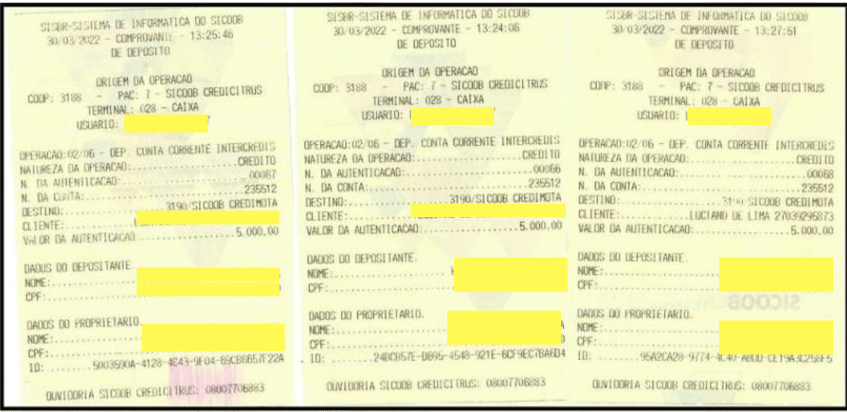 Comprovantes de pagamento a Luciano de Lima / Reprodução