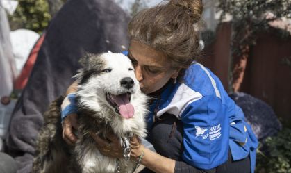 Cachorro resgatado