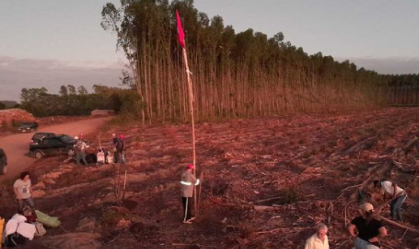 Suzano obtém liminar para reintegrar uma das fazendas invadidas pelo MST na Bahia