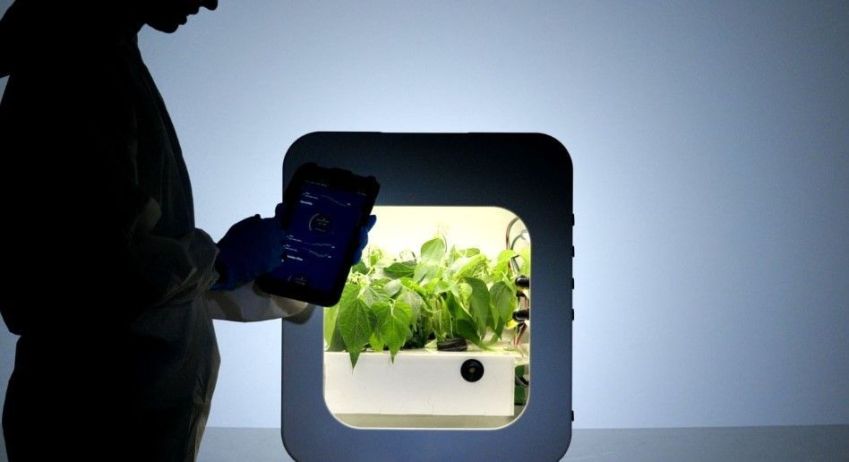 O Sistema Nutricional de Unidade Ecológica de Circuito Fechado ou "NUCLEUS" / Divulgação/Interstellar Lab