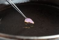 Cientistas da UFMG desenvolvem carne de frango em laboratório