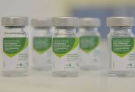 Vacinas mais modernas podem prevenir pandemia de gripe aviária