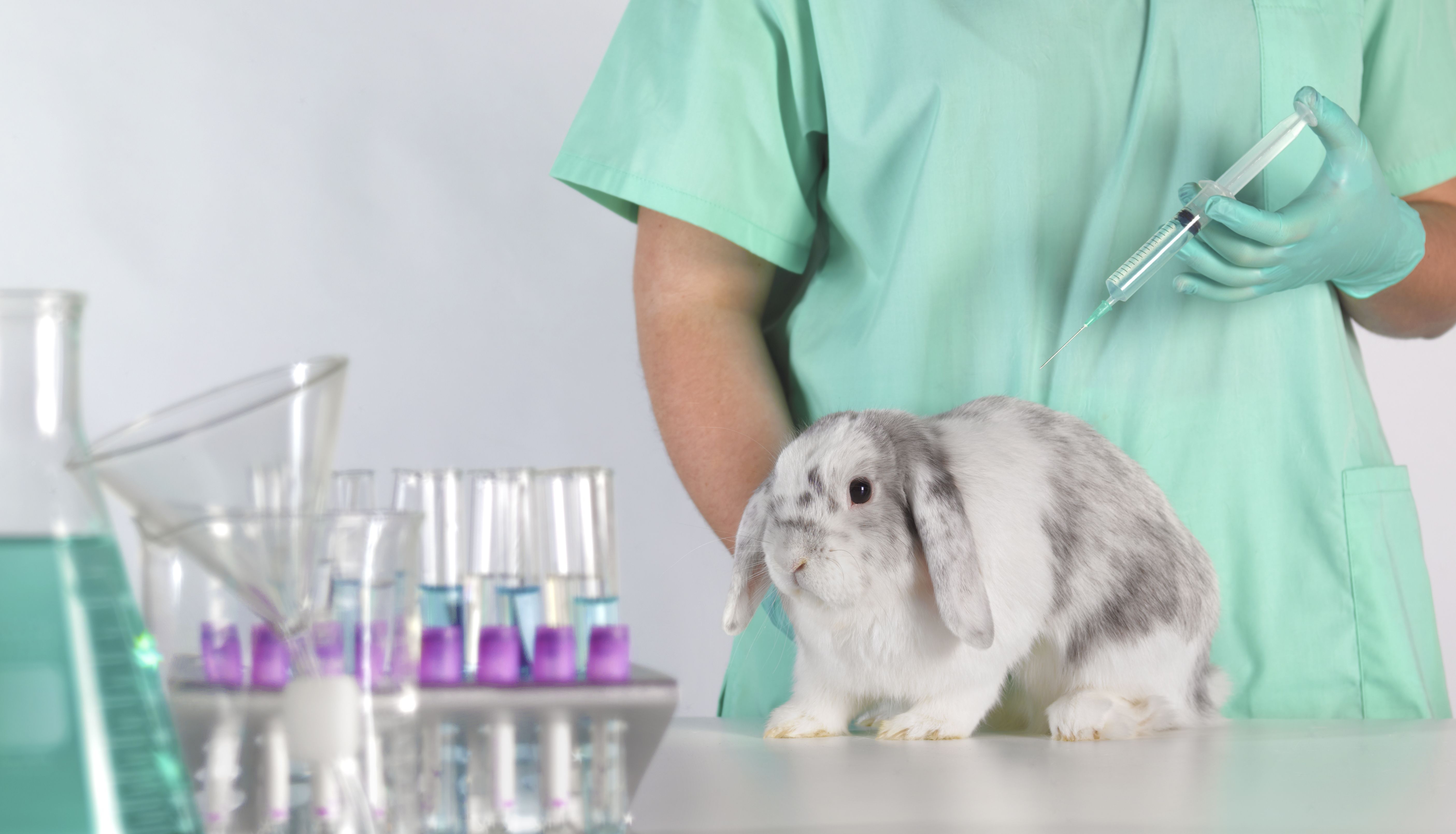 animais laboratório cobaia estudo pesquisa