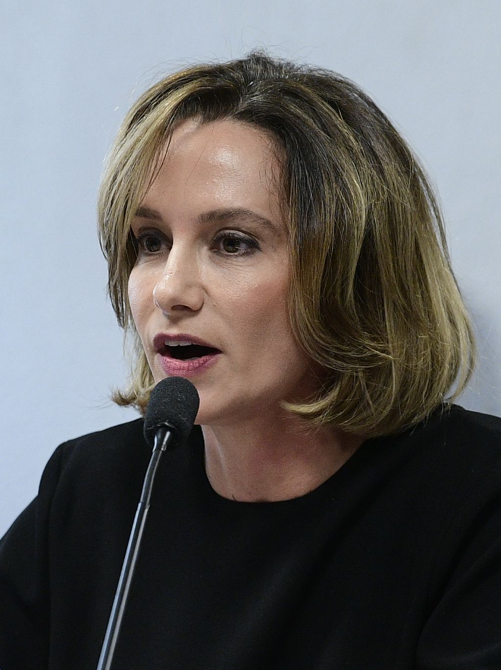 Carol Proner participa de audiência da Comissão de Constituição, Justiça e Cidadania (CCJ) / Pedro França/Agência Senado