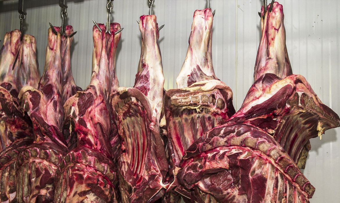 Carne fresca, Açougues, Frigoríficos, alimento