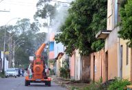 Falta inseticida para combater o mosquito Aedes aegypti no Brasil