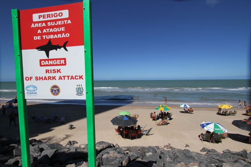 Placas de aviso alertam os turistas sobre o risco de ataque de tubarão na praia de Boa Viagem, em Recife. /Chico Peixoto/LEIAJÁIMAGENS/AE