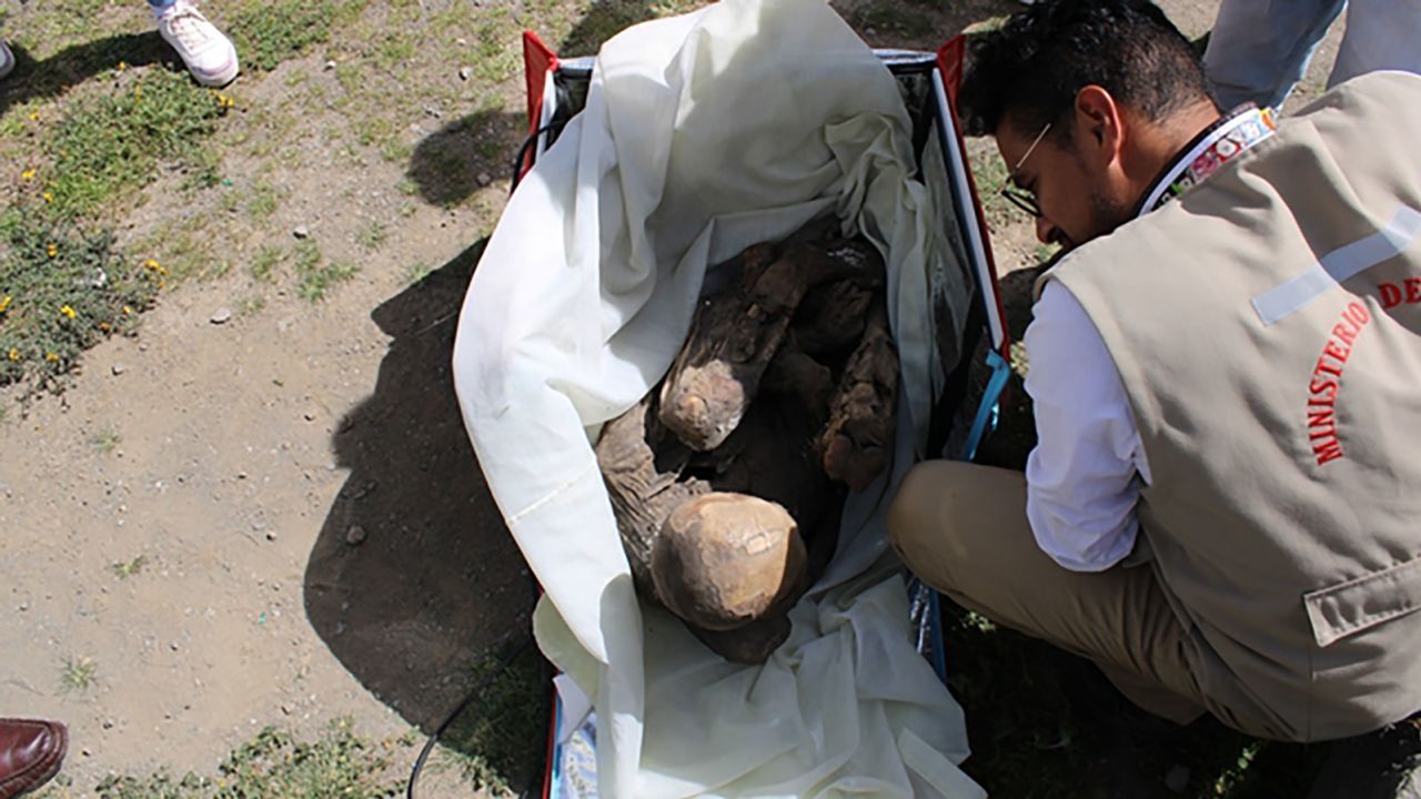 Imagens da descoberta mostraram a múmia em posição fetal dentro da bolsa vermelha de parto / Ministério da Cultura do Peru