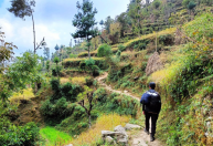 Nepal proíbe que estrangeiros façam trilhas sem a presença de guias em todo o país