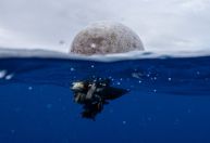 Oceanos têm mais de 170 trilhões de partículas de plástico, diz estudo