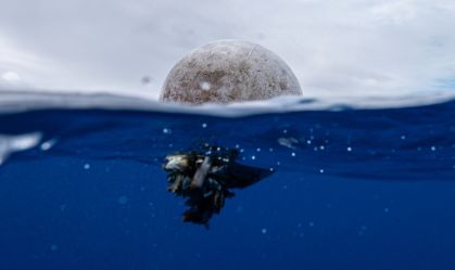 Dia Mundial dos Oceanos: inteligência artificial mira recorde de partículas de plástico