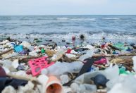Ações podem reduzir em até 80% presença de plástico no meio ambiente, diz especialista da ONU
