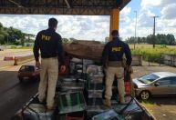 PRF apreende mais de 4 toneladas de maconha em caminhão no Paraná