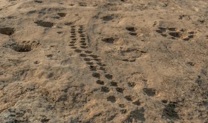 Al Jassasiya: os símbolos misteriosos encontrados esculpidos no deserto do Catar