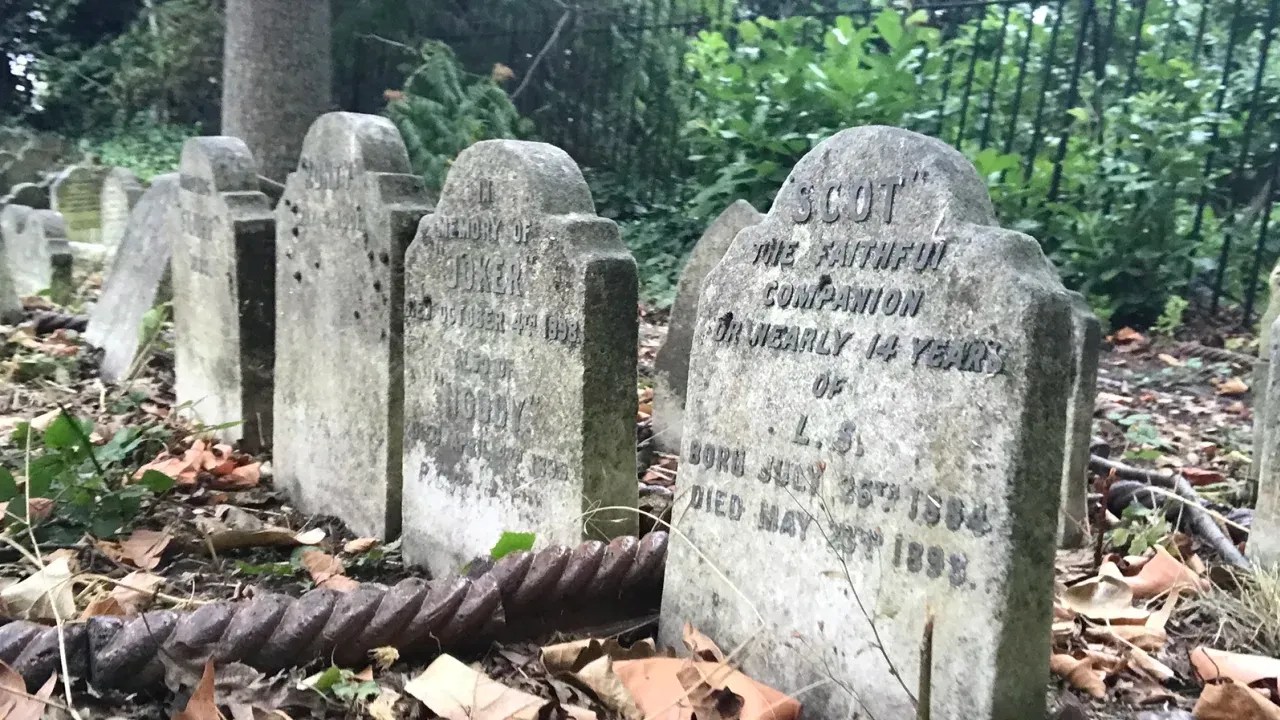 230403122306-01-pet-cemeteries