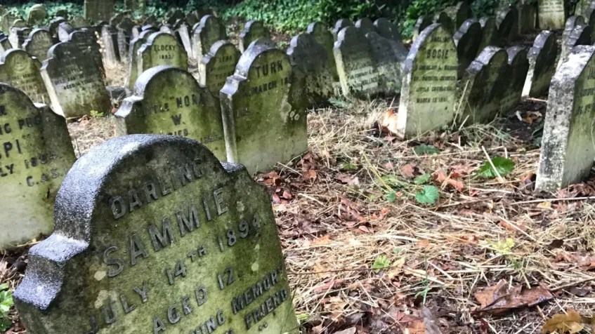 "Querido Sammie", diz uma das lápides de animais que datam da década de 1890 no Hyde Park Pet Cemetery, em Londres / Eric Tourigny/Arquivo Pessoal