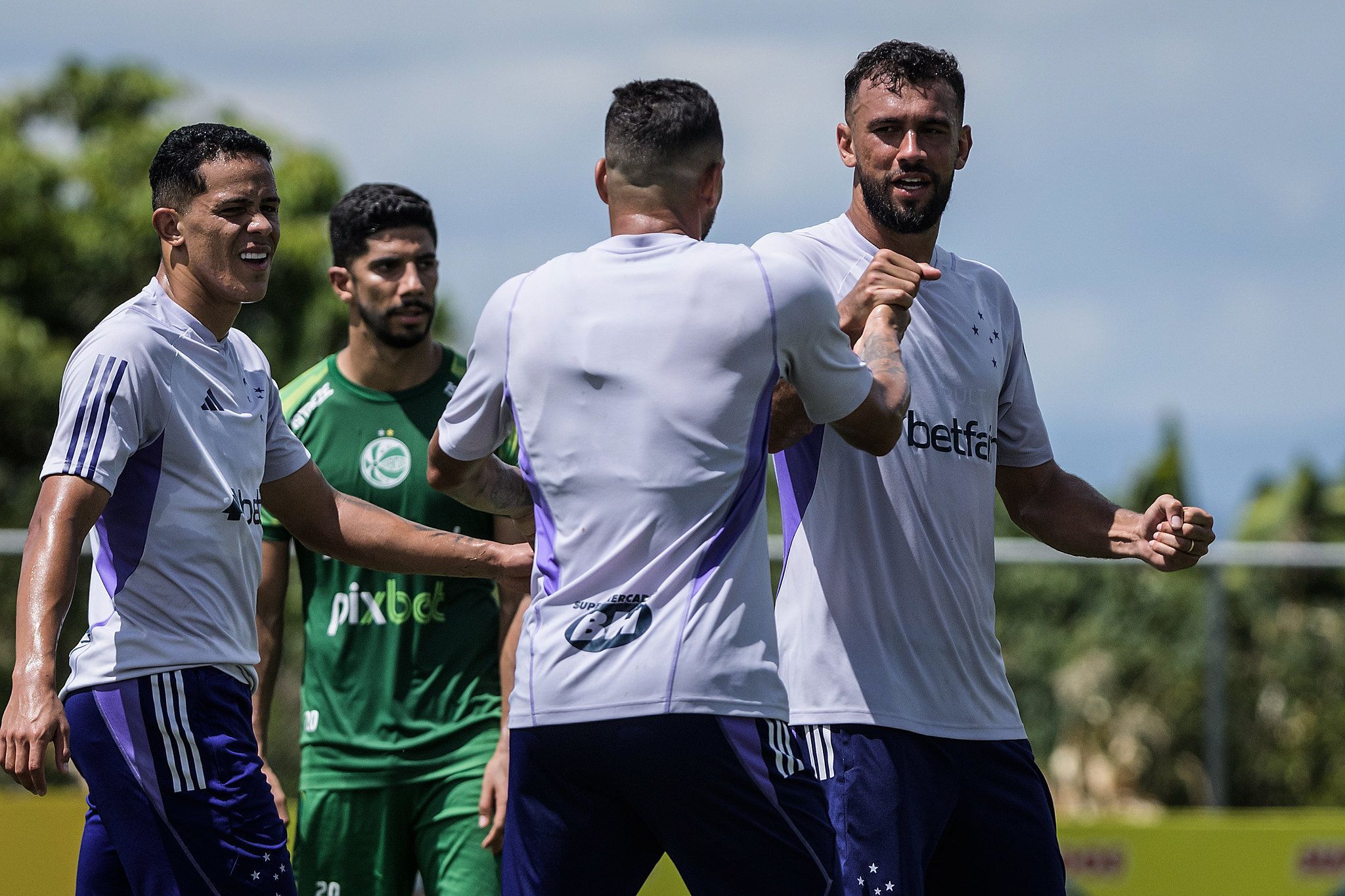 Time do Cruzeiro comemora gol do zagueiro Luciano Castán